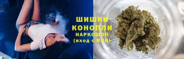 шишки Баксан